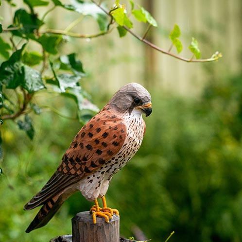 Torenvalk - Houten vogel beeld - Catch Utrecht